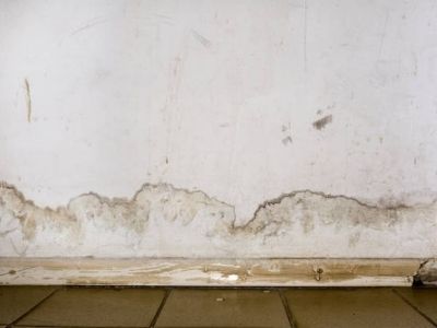 Wet walls by the baseboards needs to be addressed - Quality Foundation Repair from Omaha, Ne