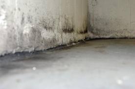 Efflorescence on basement wall