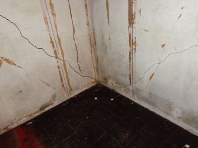 Dehumidification project photo 5